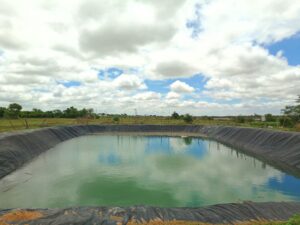 Farm pond at the nursery with a capacity of 40 Lakh liters