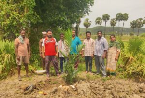In 6 acres of Jalla Lakshmanarao's land, an oil palm plantation began today in Pillutla village  Machavaram Mandal, Palnadu District, Andhra Pradesh.
