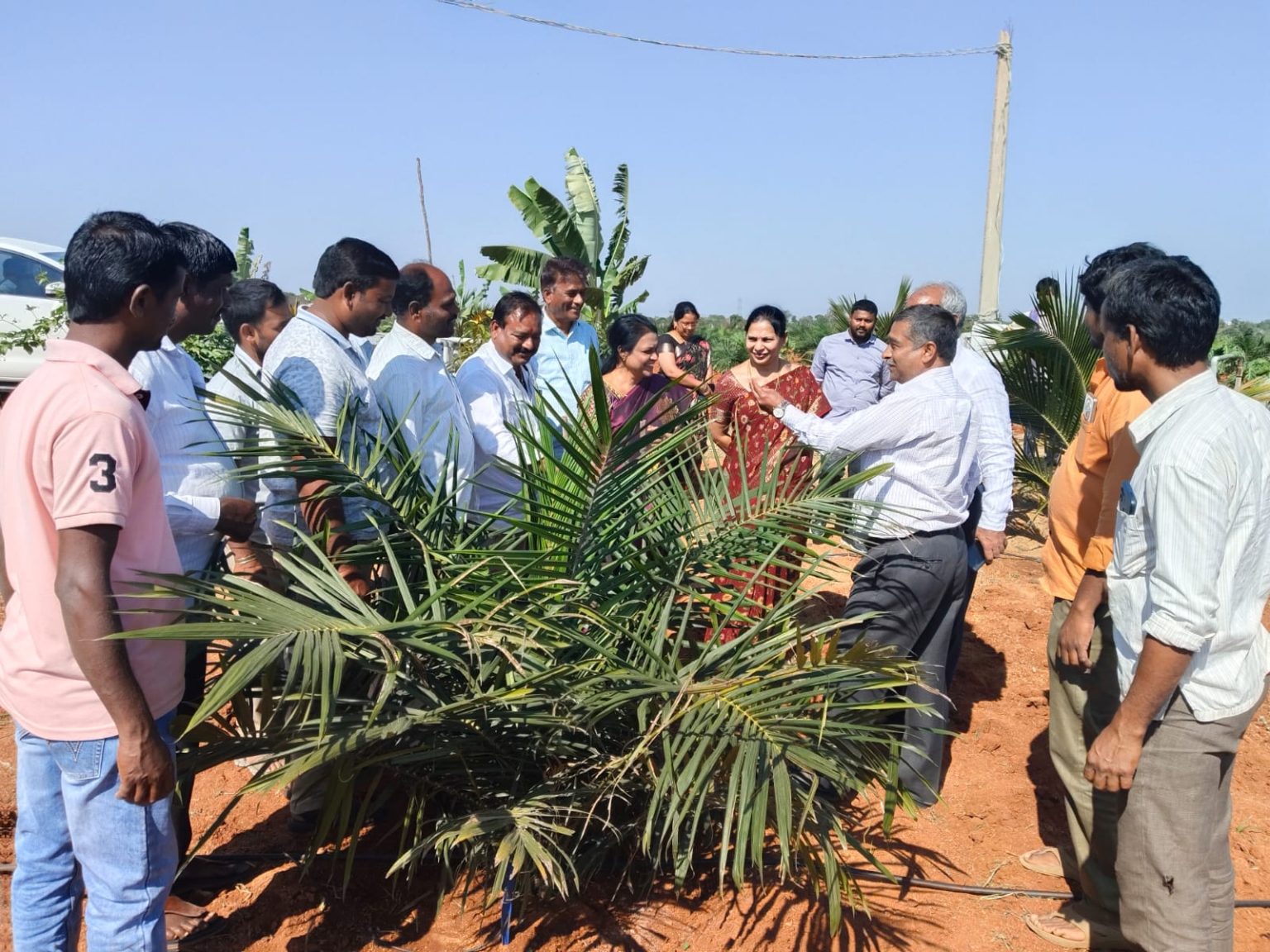 A Vision for Sustainable Growth: Director of Horticulture Visits Oil Palm Fields in Velijerla