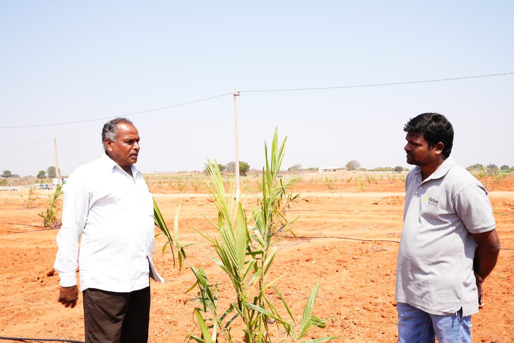 “Anjaneyulu’s 7-Acre Leap: Bringing Oil Palm to Kandivaram Fields