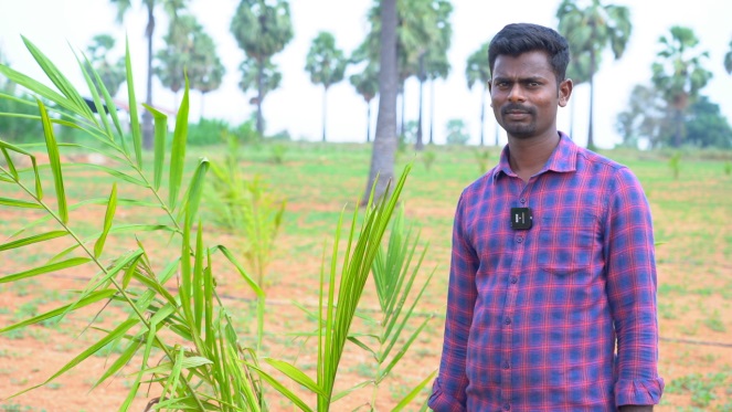 From Cotton to Oil Palm: Srinu’s Smart Move for Better Returns in Akuthotapalle