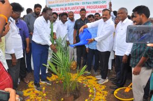Mega Plantation Drive and Awareness Meet Held in Pinnelli Village