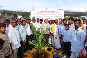 Palnadu District Advances Oil Palm Cultivation with Major Plantation Drive