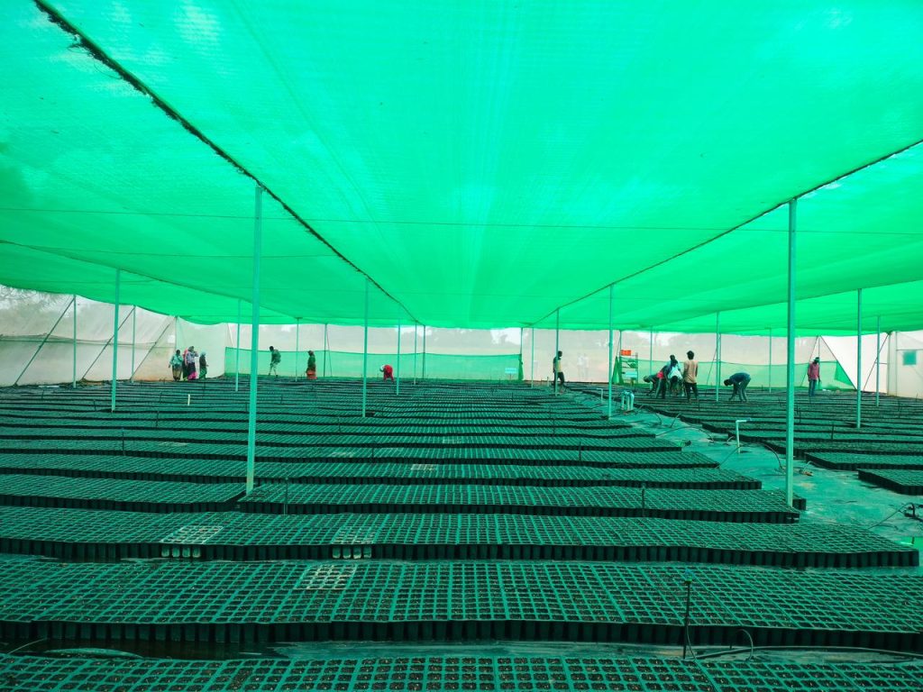 WhatsApp Image 2025-10-07 at 11.30.53