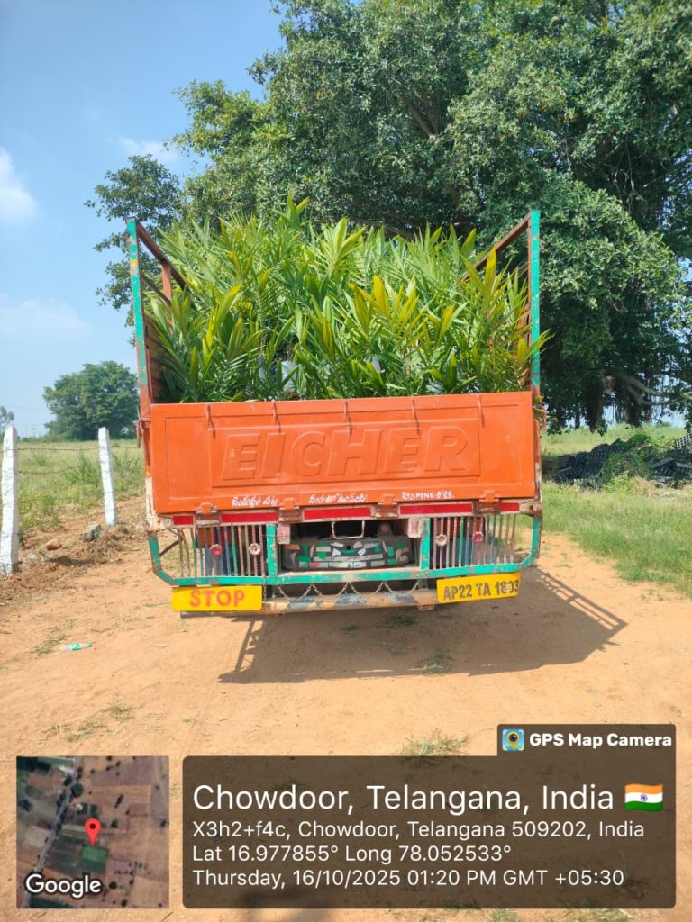 WhatsApp Image 2025-10-30 at 12.35.31