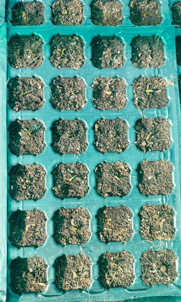 WhatsApp Image 2025-10-30 at 12.35.35