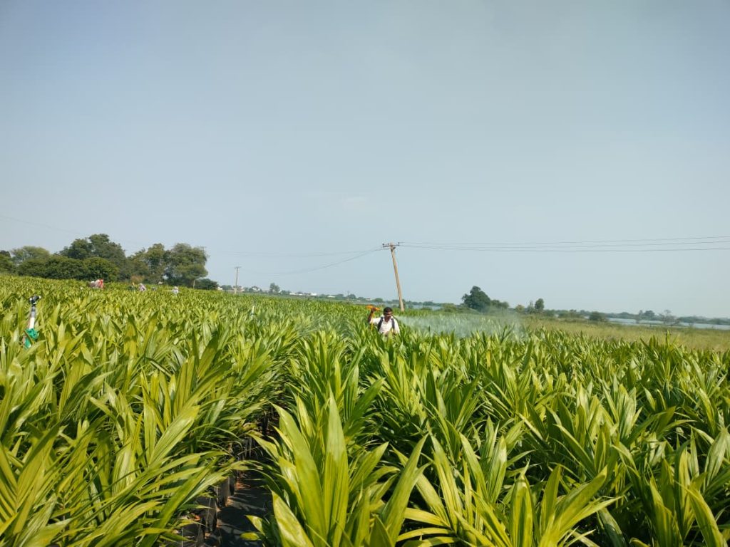 WhatsApp Image 2025-10-30 at 12.35.38