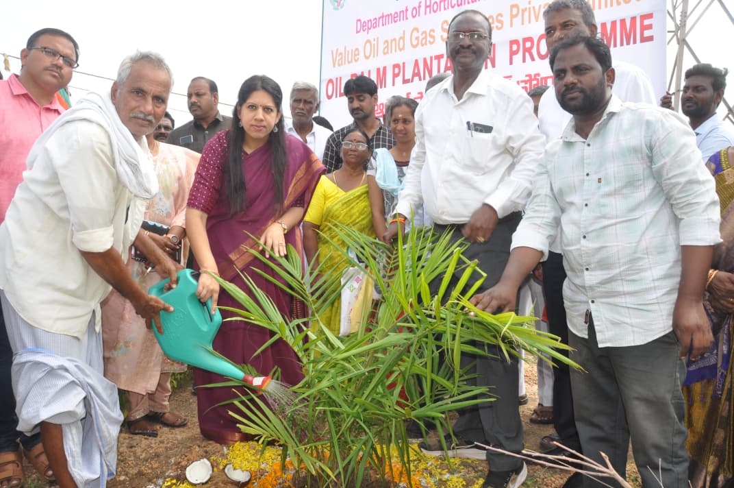 WhatsApp Image 2025-11-05 at 19.07.58_49bdaf75