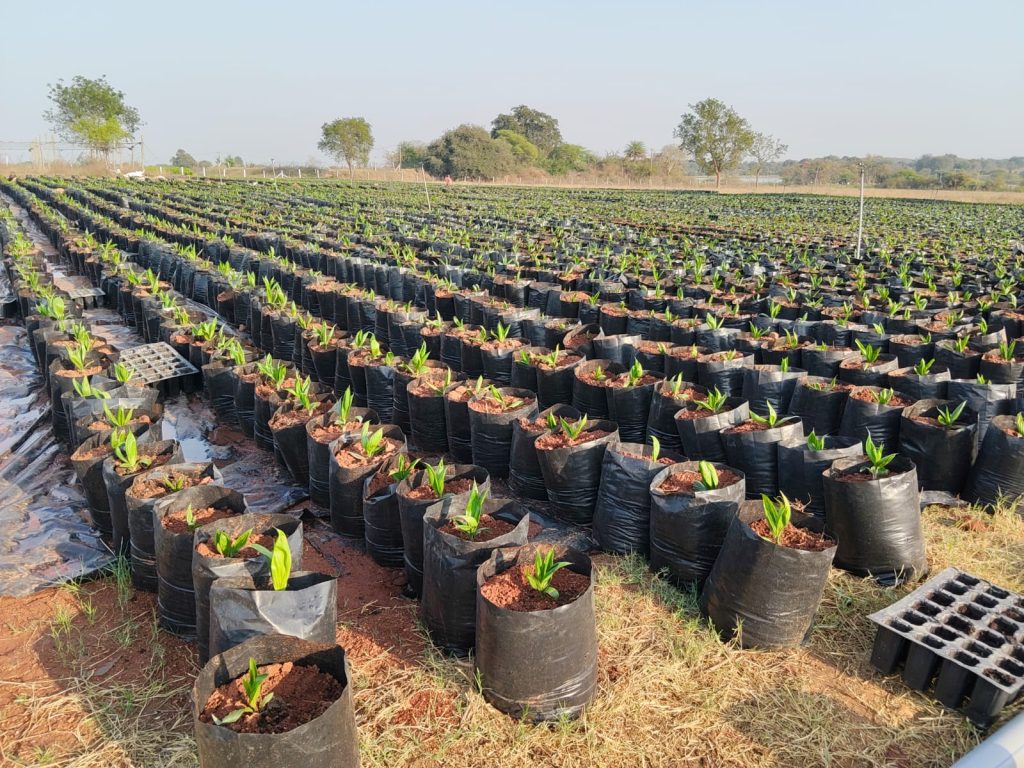 WhatsApp Image 2026-03-04 at 21.00.09