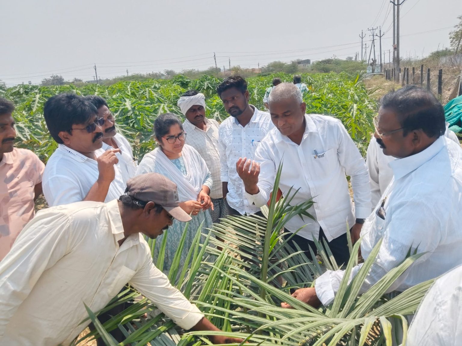 WhatsApp Image 2026-03-05 at 07.34.07 (1)