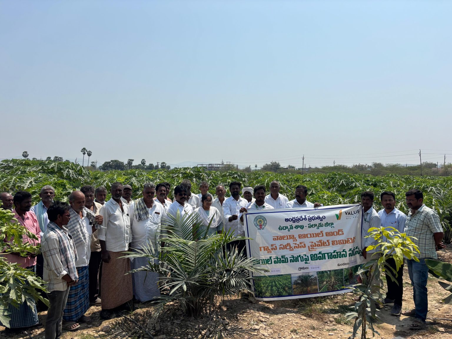 WhatsApp Image 2026-03-05 at 07.34.07