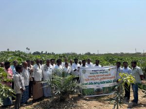 Empowering Farmers Through Knowledge: Oil Palm Training Program at Piduguralla